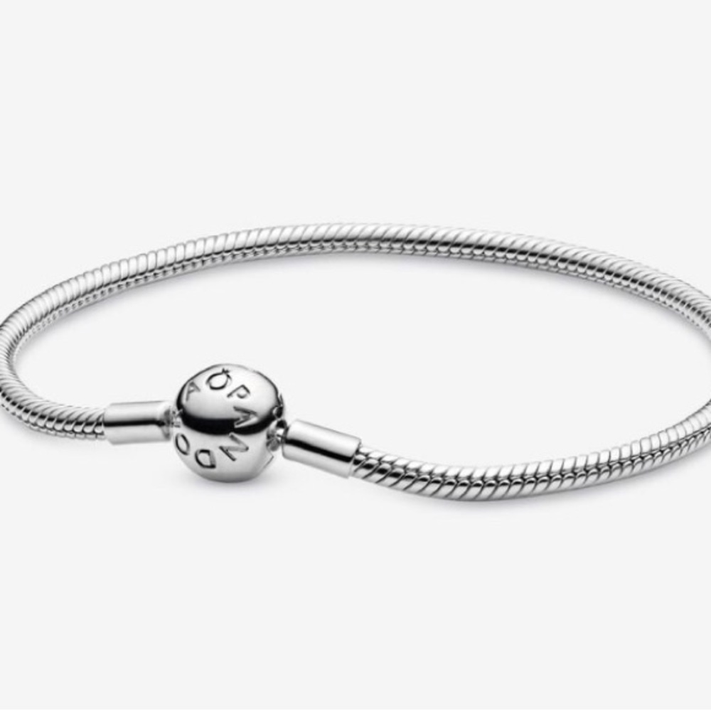 Pandora Snake Chain Bracelet & charm (Can be purchased without the charm)